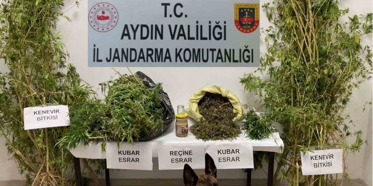 Söke’deki operasyonda 5 kilogram uyuşturucu ele geçirildi
