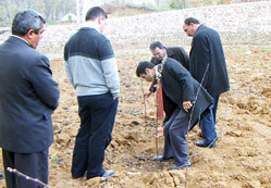 HADİM ve KİRAZ