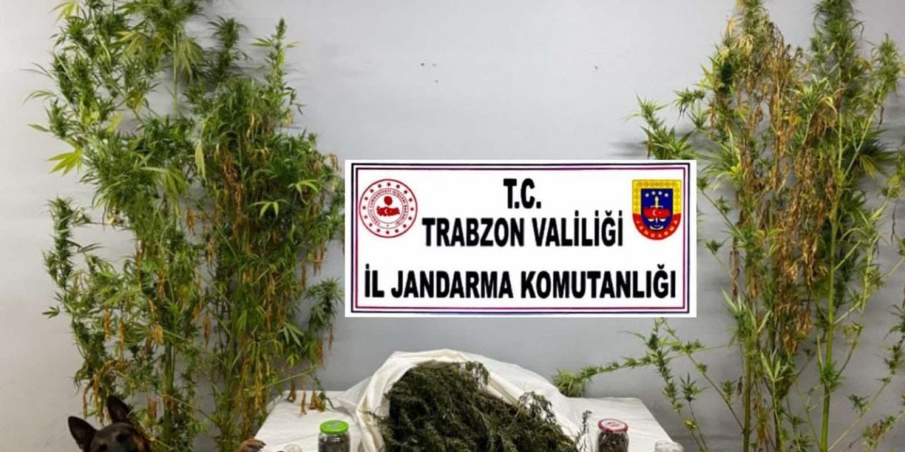 Trabzon’da uyuşturucu operasyonu: 3 gözaltı