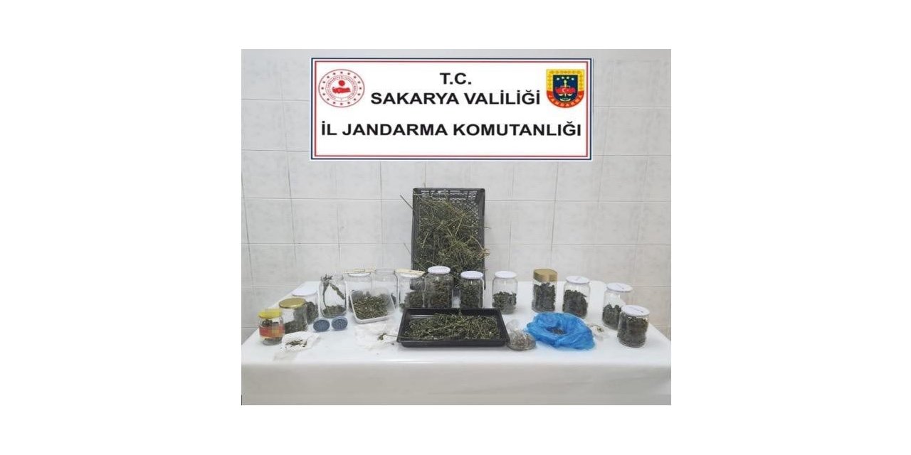 Sakarya’da 70 kilo kubar esrar ele geçirildi: 7 tutuklama