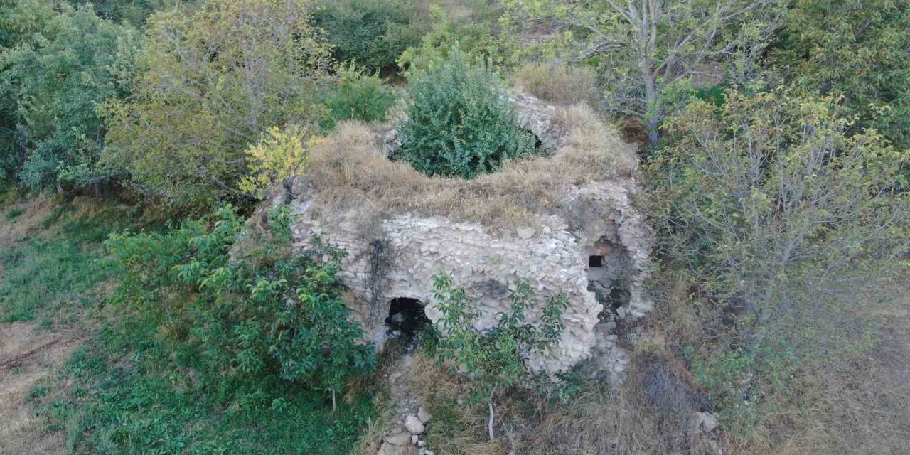 Defineciler tarafından talan edildi, içerisinde büyüyen ağaç ise şaşırttı