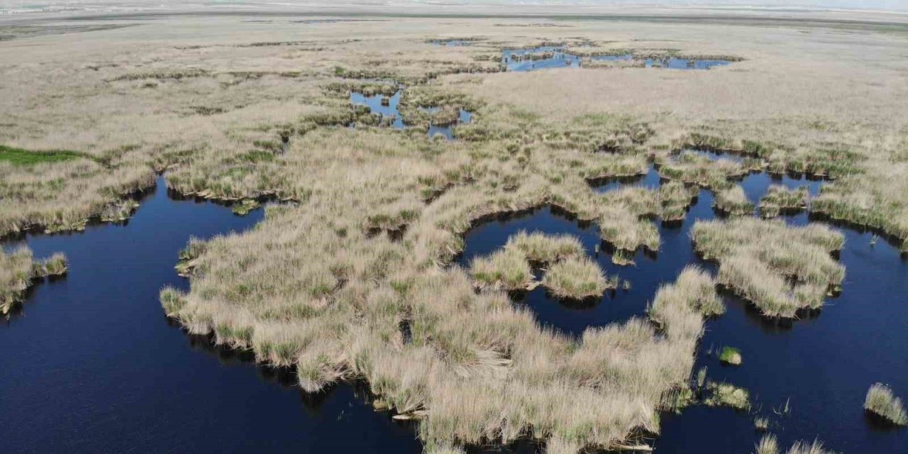 Sultan Sazlığı’na Tesisler Geliyor