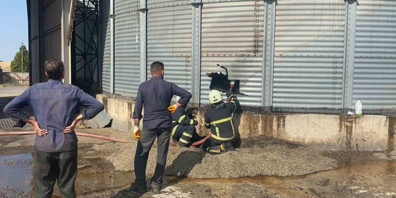 Edirne’de ayçiçeği kurutma silolarında yangın