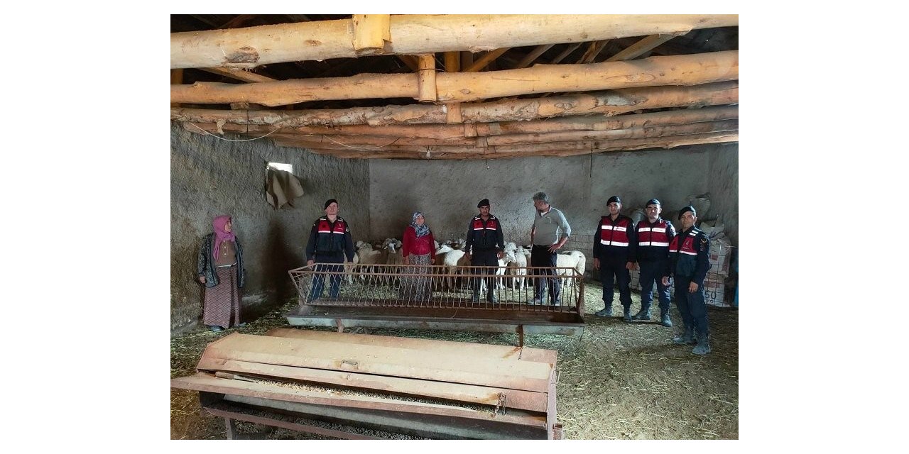 Kaybolan küçükbaş hayvanları jandarma buldu