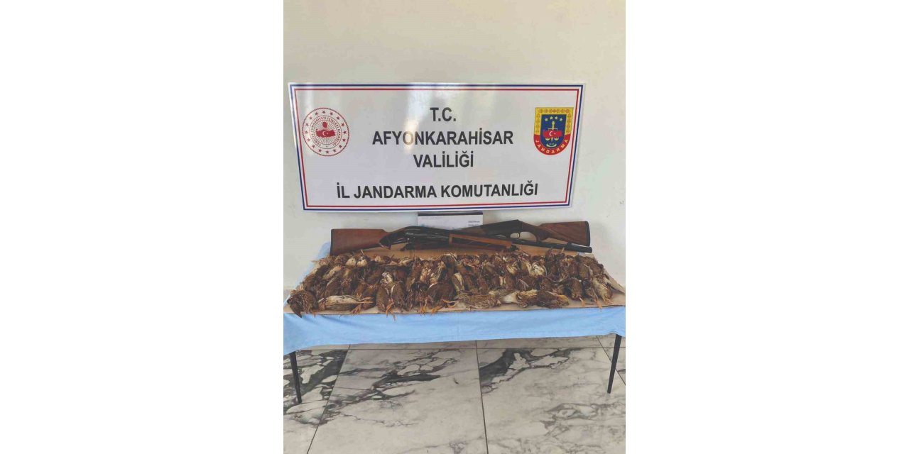 77 bıldırcını kaçak avlayan iki kişiyi jandarma yakaladı