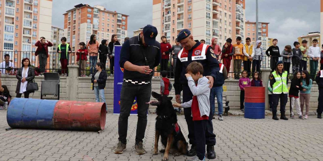 Jandarmadan öğrencilere ‘hayvan hakları’ ve ‘trafik’ eğitimi