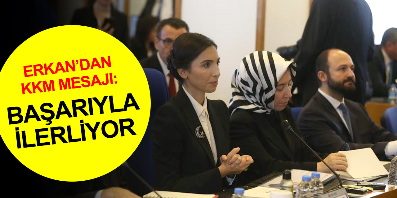 Hafize Gaye Erkan: KKM’nin ilk 6 aylık maliyeti Merkez Bankasına 90 milyar, Hazine’ye ise 60 milyar lira