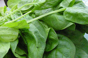 Ispanağın sırrı ortaya çıktı