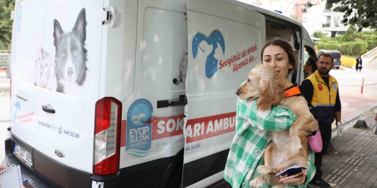 Eyüpsultan’da Sokak Hayvanları Ambulansı hizmete devam ediyor