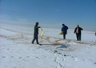 Kulu'da kuşlara yem bırakıldı