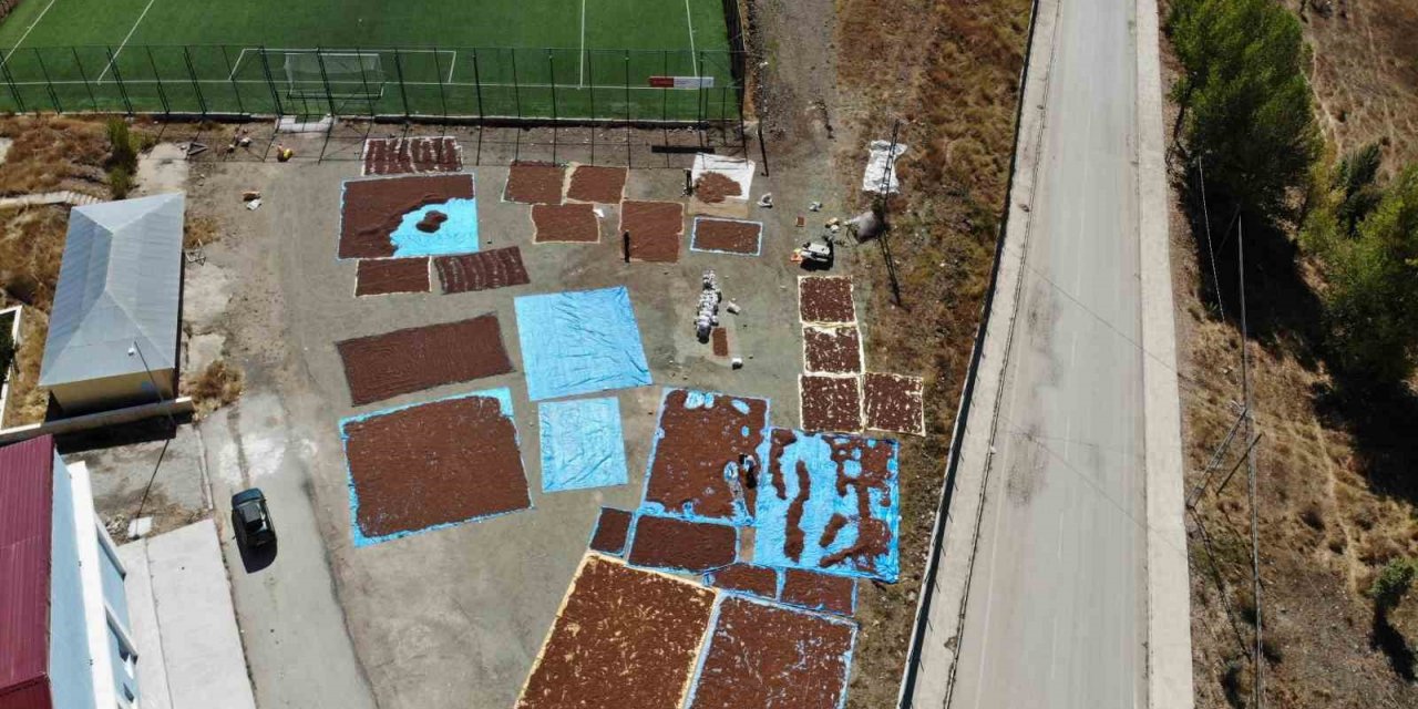 Giresun’da bu ilçede fındık yetiştirilmiyor ama kurutuluyor