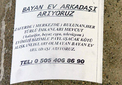 İlanla ev arkadaşı arıyorlar
