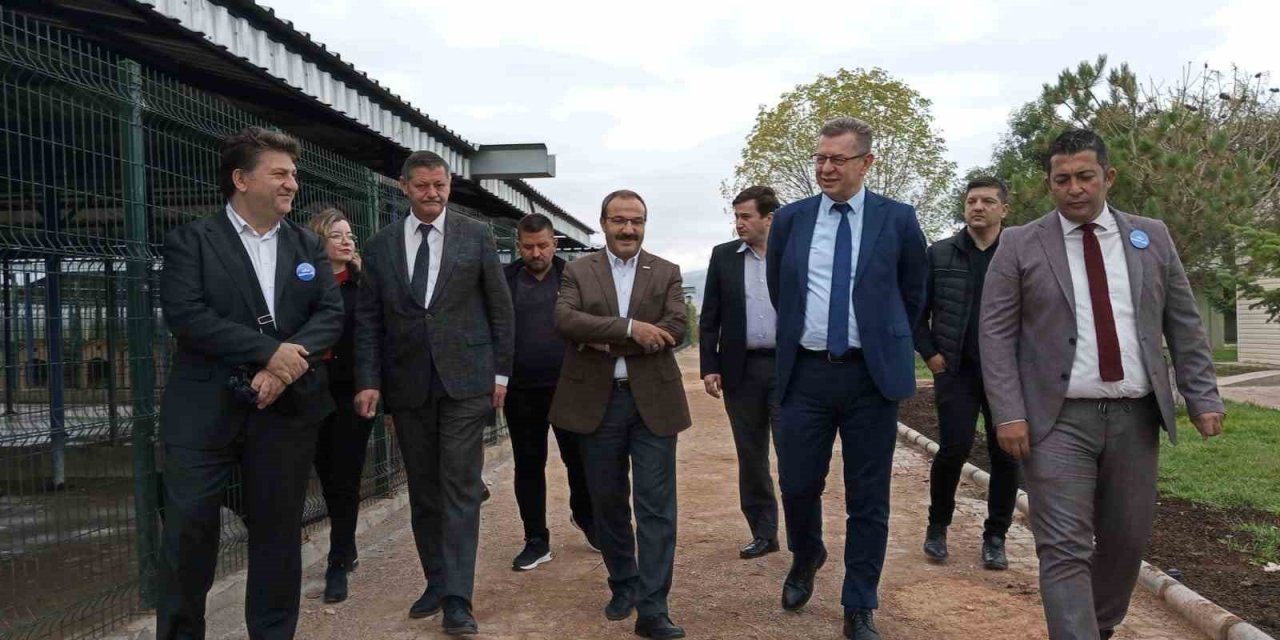 OEDAŞ, Can Dostlar için Afyonkarahisar’da tedavi odası açtı