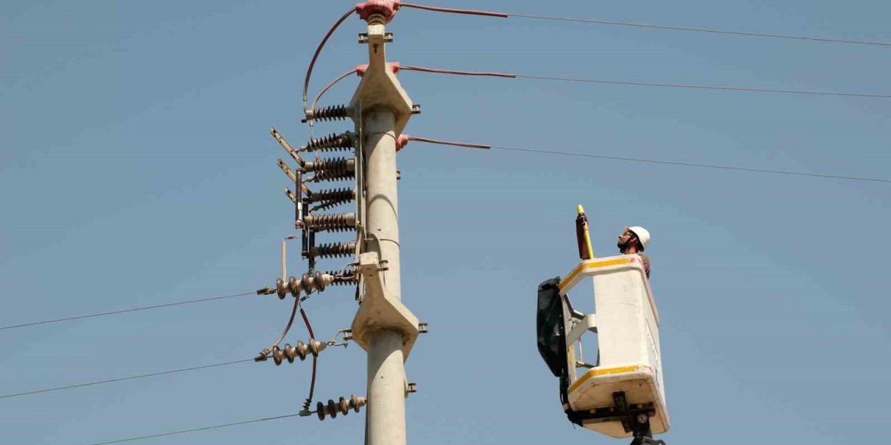 Toroslar EDAŞ göçmen kuşları yalıtımlı hatlarında ağırladı