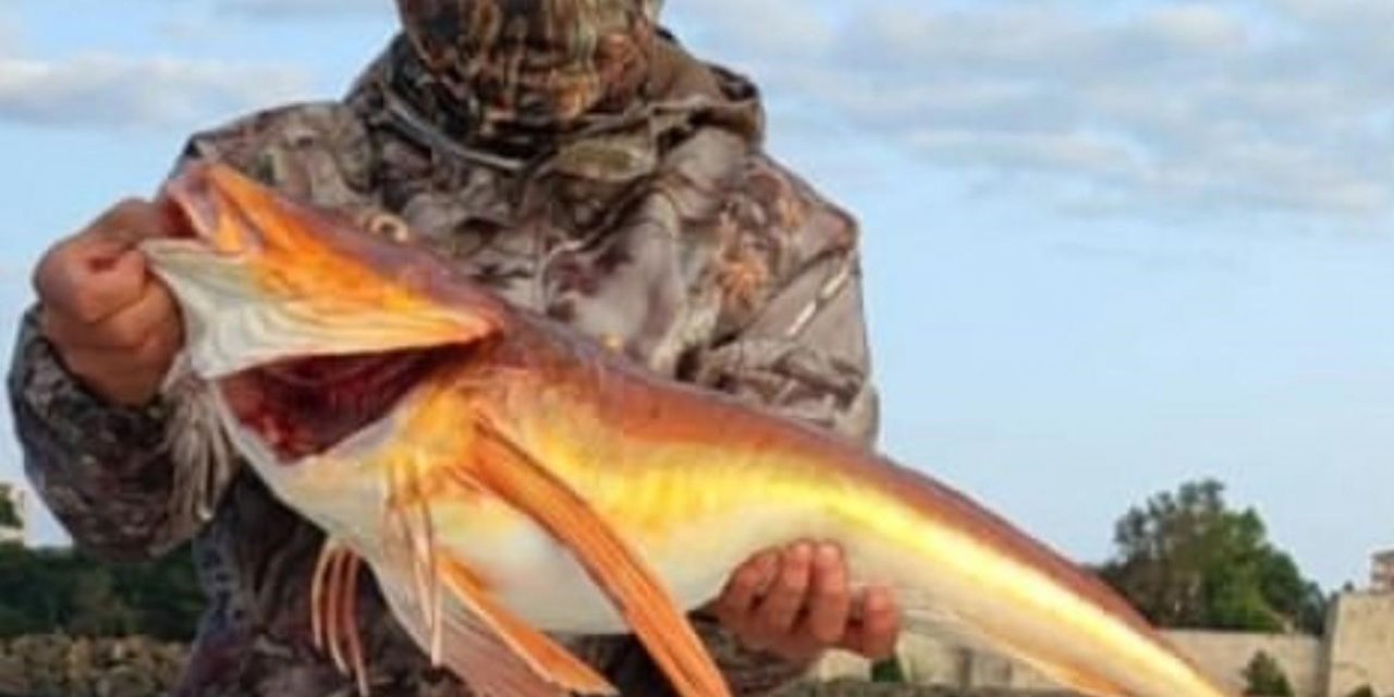 5 kiloluk balığı oltasıyla yakaladı