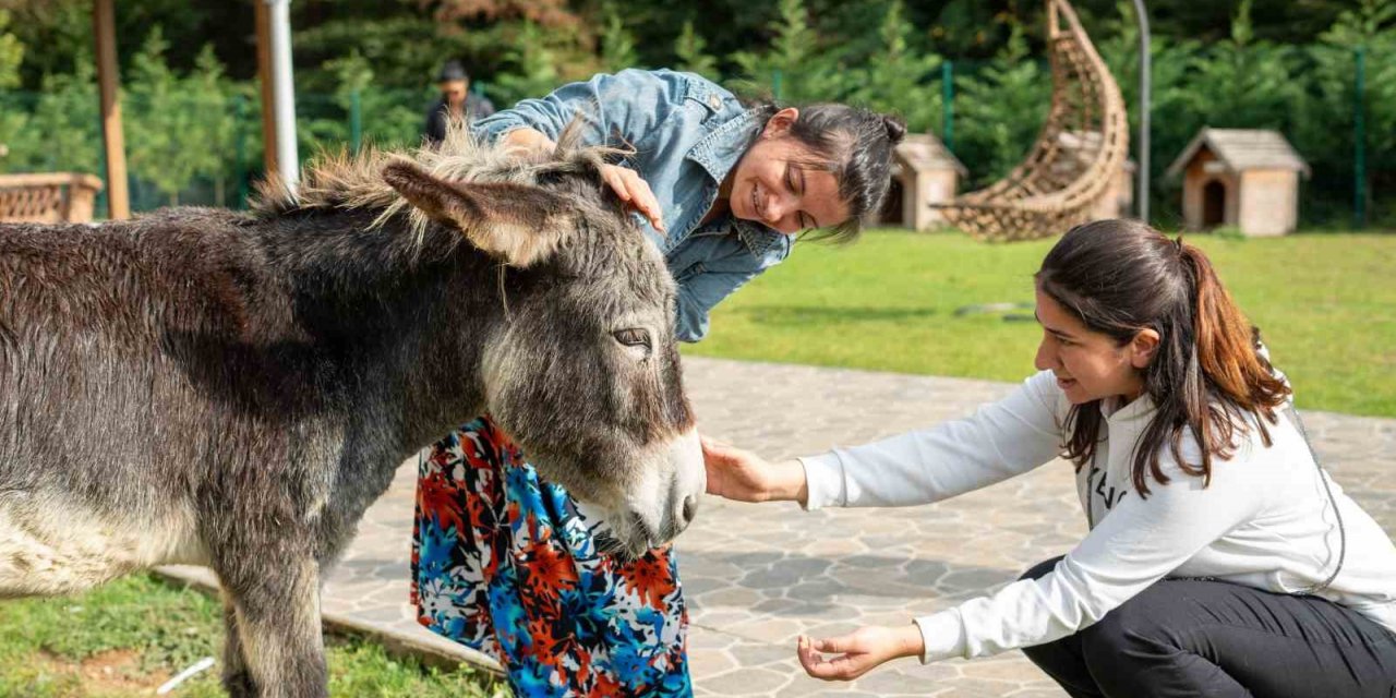 Hepsiburada, Hayvanları Koruma Günü’nde hayvanları unutmadı