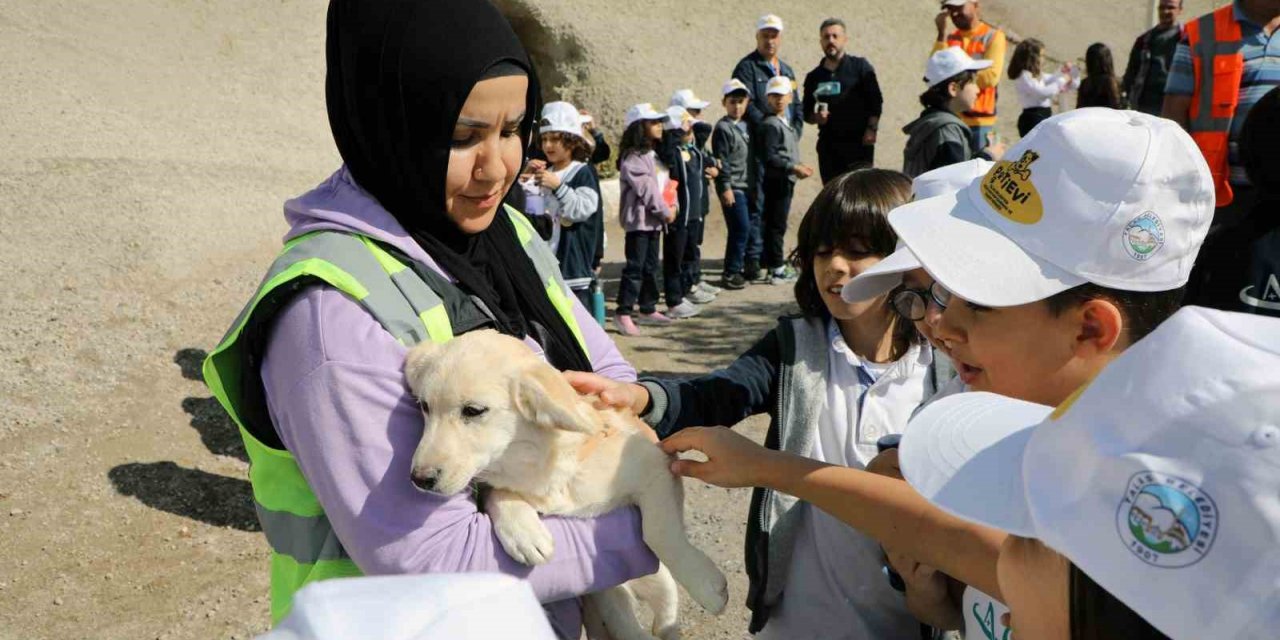 Talas Pati Evi: Candostlara vip servis
