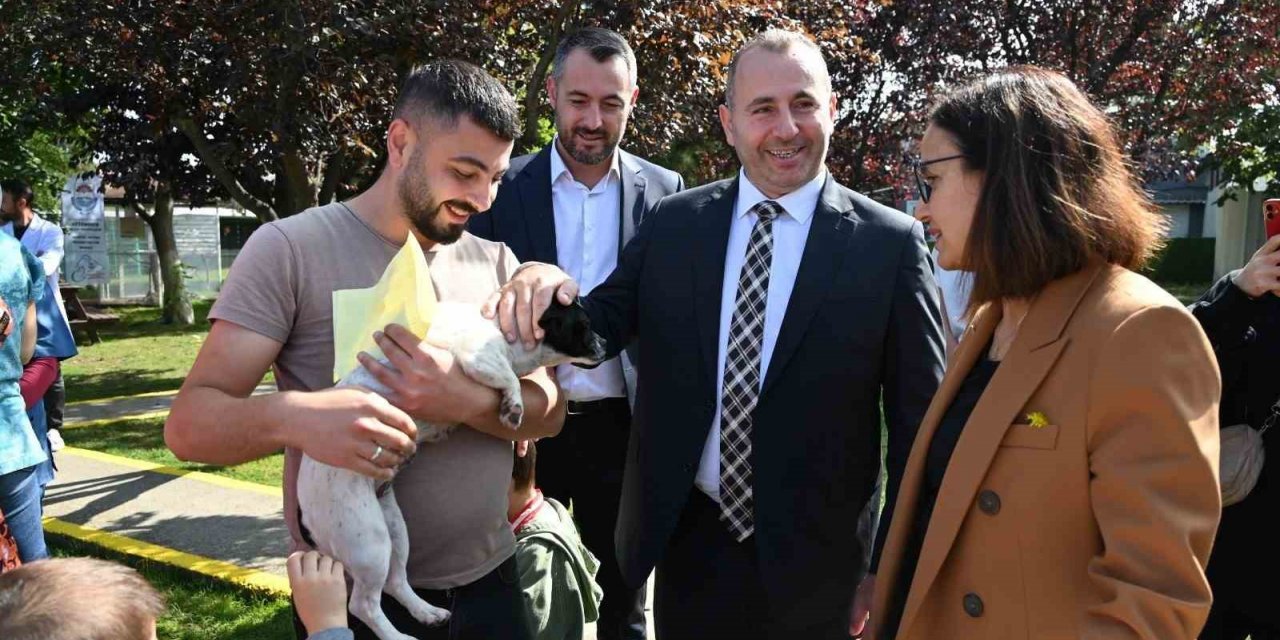 Yalova’da Hayvanları Koruma Günü kutlandı