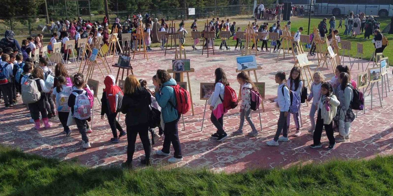 Hayvanları Koruma Günü’nde anlamlı etkinlik