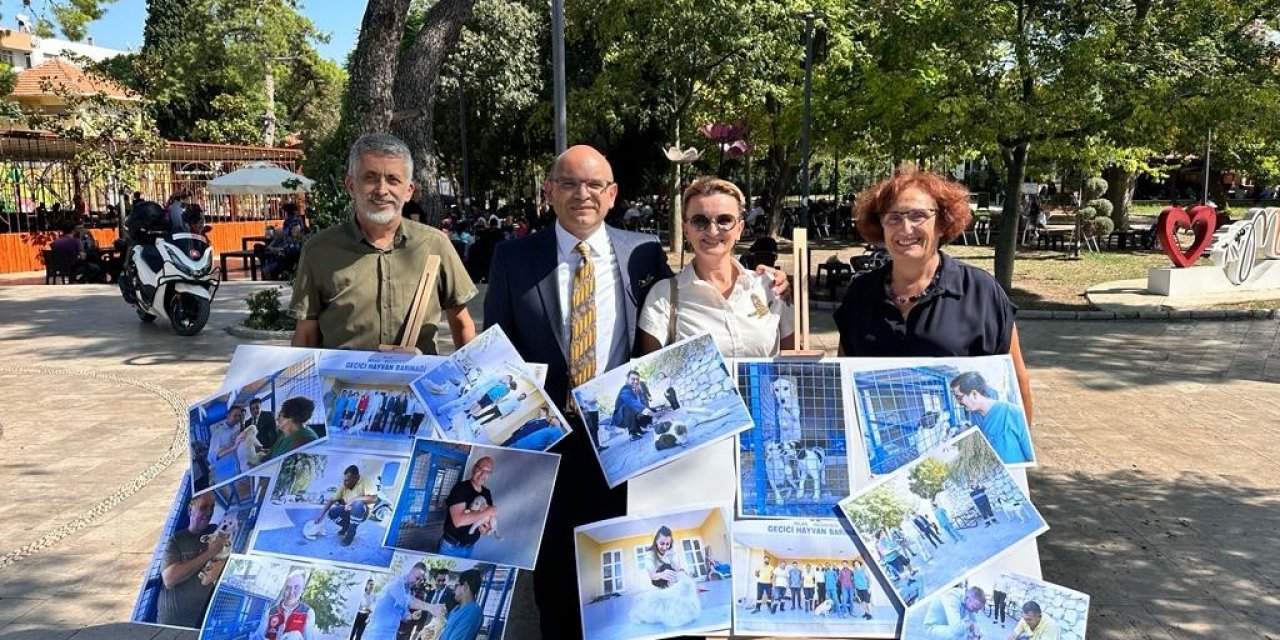 Milaslılar, sokak hayvanları için bir araya geldi