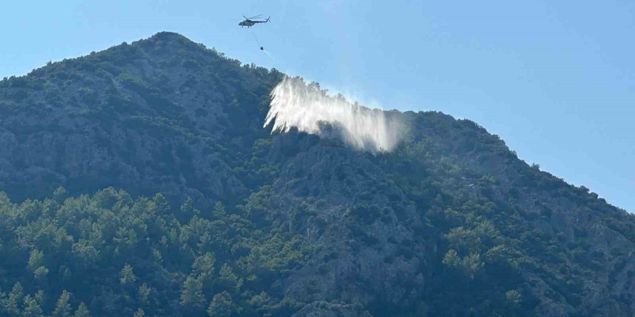 Yıldırım düşmesi sonucu çıkan yangın havadan yapılan müdahaleyle söndürüldü