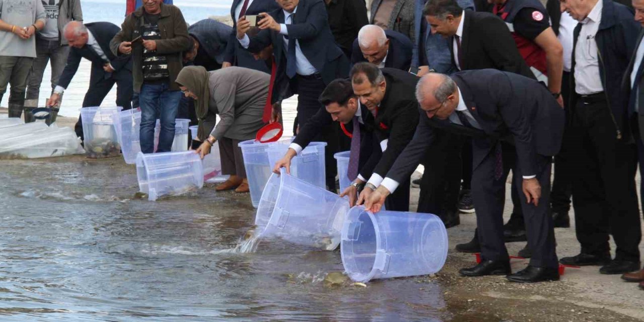 13 ilde 25 milyon yavru sazan suya bırakıldı