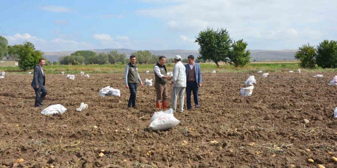 Şuhut’ta patates hasadı başladı