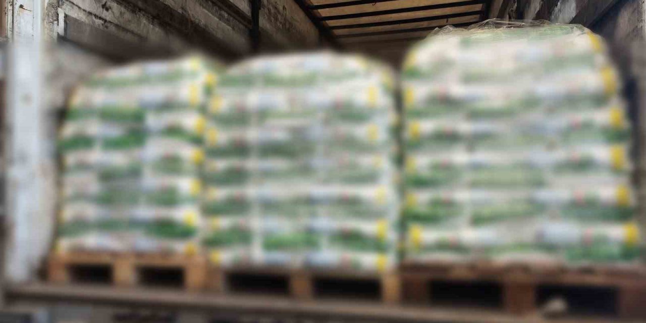 Sahte deterjan ve temizlik maddeleri gümrüğe takıldı