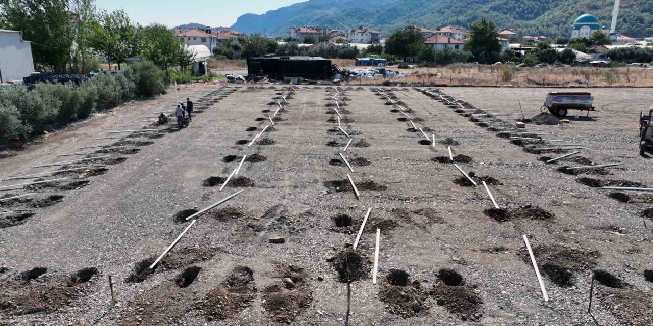 Ortaca Belediyesi bitki üretim tesisi kuruyor