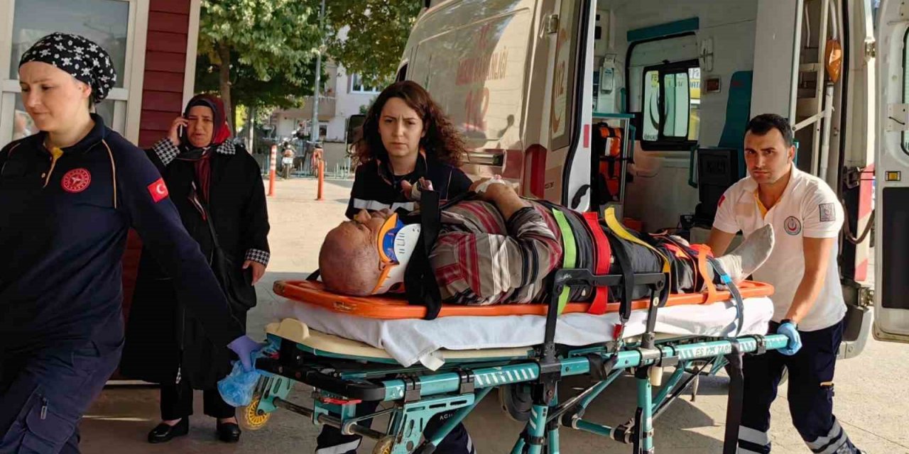 İncir ağacından düşen yaşlı adam yaralandı