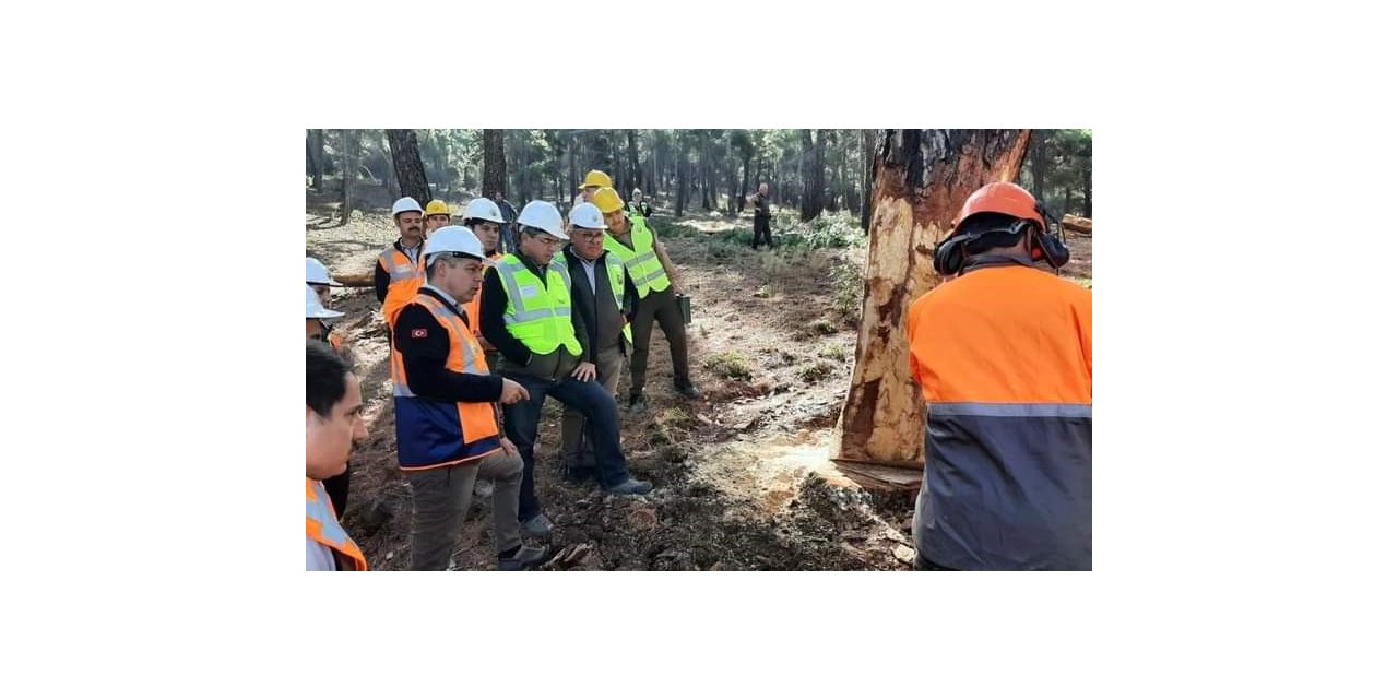 Çal Orman İşletme Müdürlüğünde işletme ve pazarlama tatbikatı yapıldı