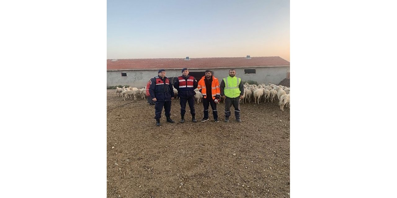 Kaybolan 200 küçükbaş hayvan 6 buçuk saat sonra bulundu
