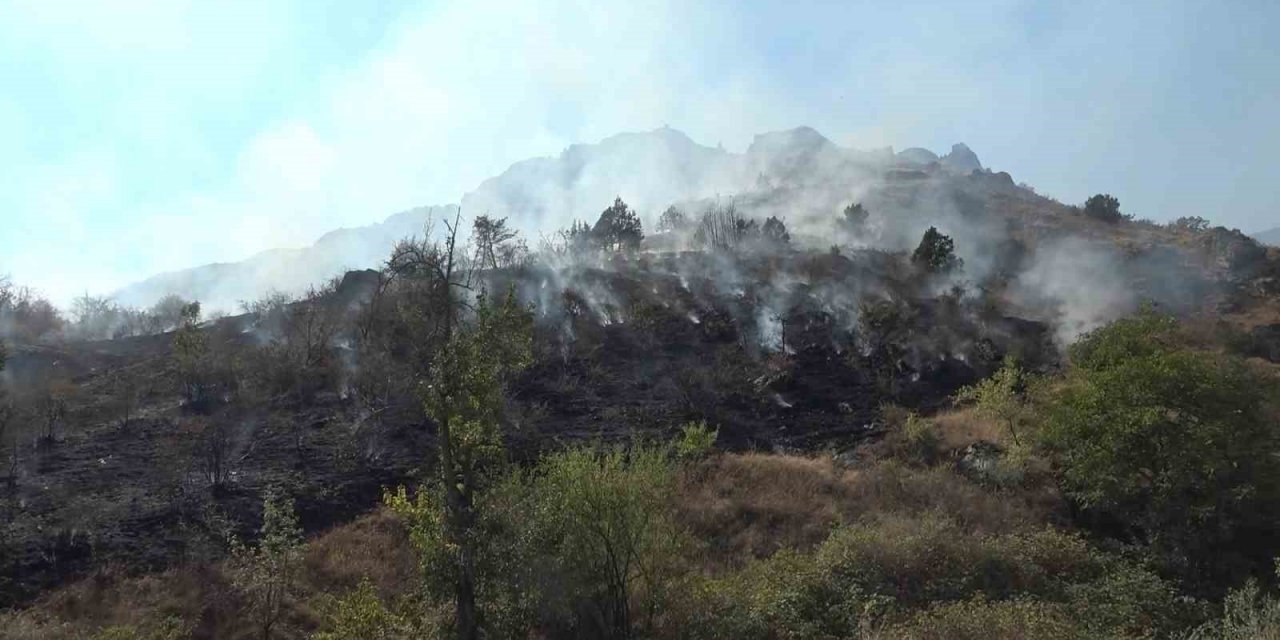 Çöpleri yakmak isterken 2 hektarlık alanı küle döndürdü