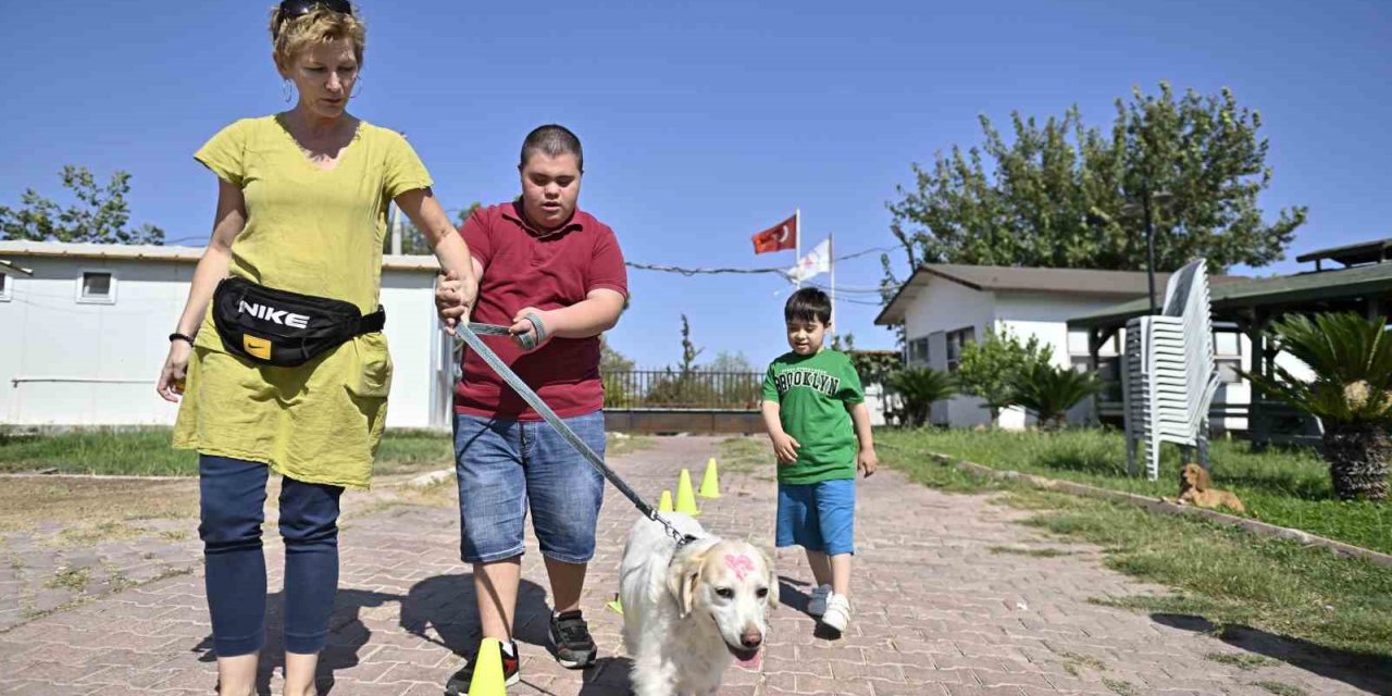 Özel çocuklar sokak hayvanlarını elleriyle besledi