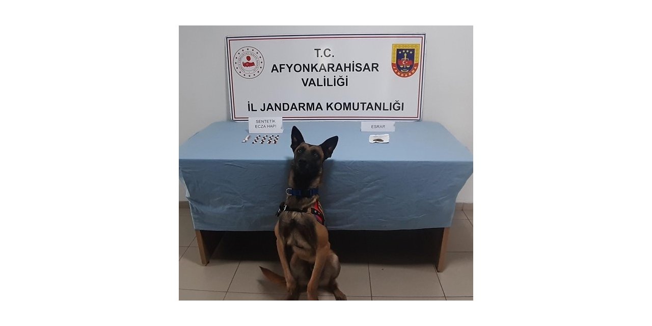 Jandarmadan uyuşturucu baskını