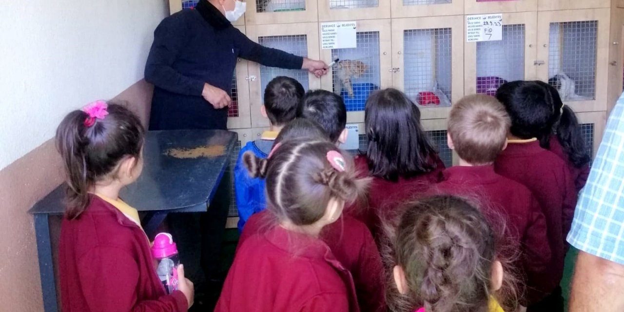 Minikler can dostlarıyla vakit geçirdi