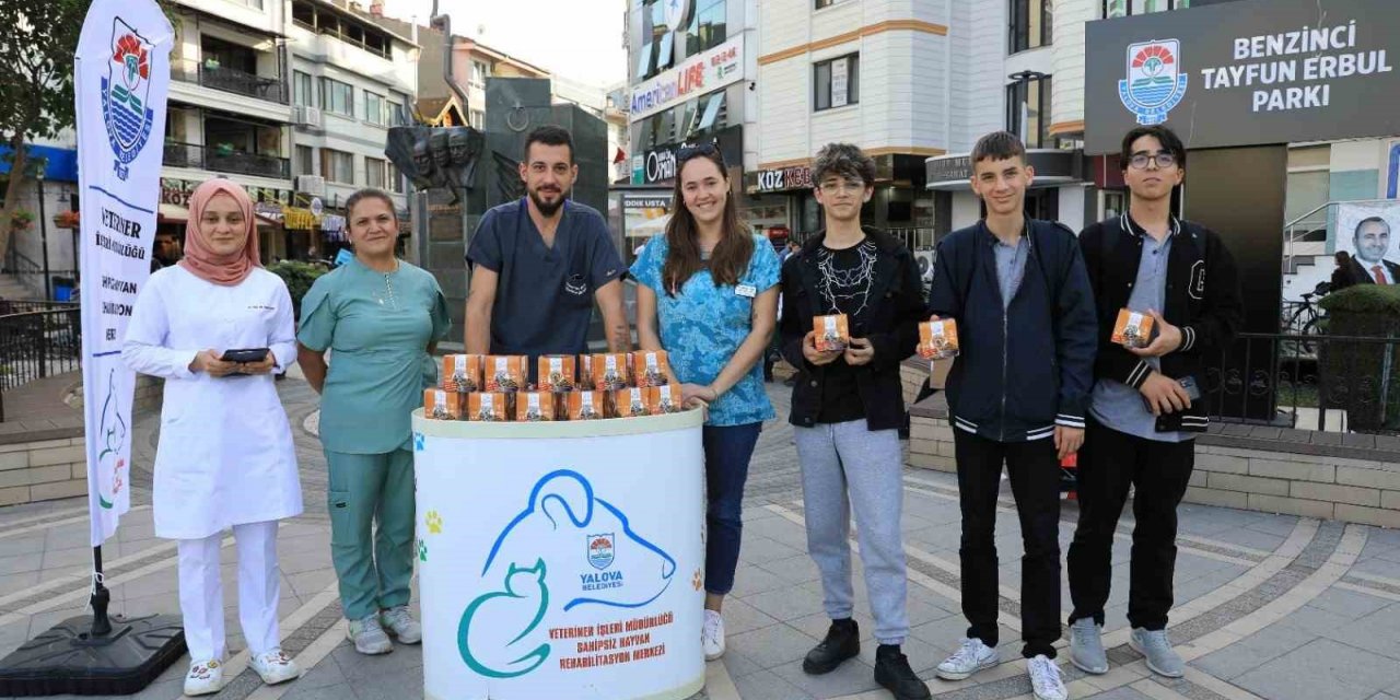 Yalova Belediyesi sokak hayvanları için mama dağıttı