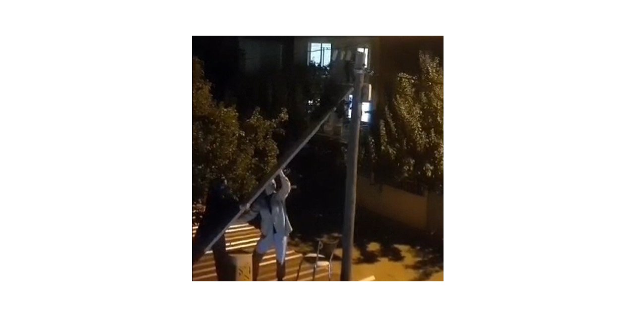 Elektrik direğinde mahsur kalan kediyi genç kızlar kurtardı