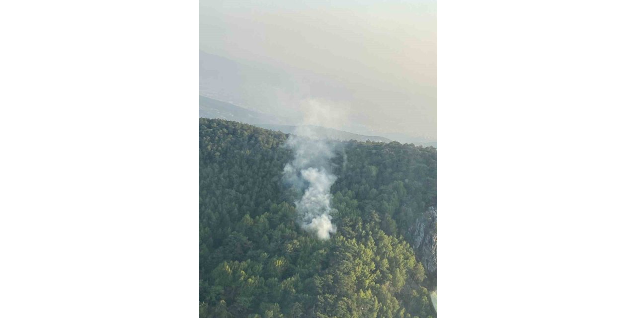 İzmir’de orman yangını: 58 dakikada kontrol altına alındı