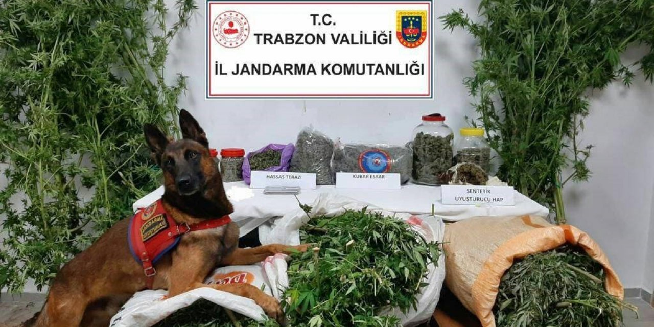 Trabzon’da 41 kilogram uyuşturucu madde ele geçirildi, 5 şüpheli gözaltına alındı
