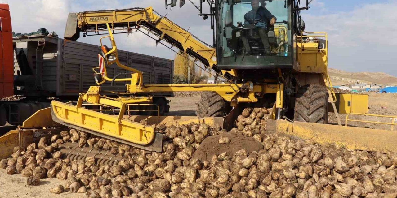 Şeker pancarı alım fiyatı ton başına 3 bin 100 TL’ye yükseltildi