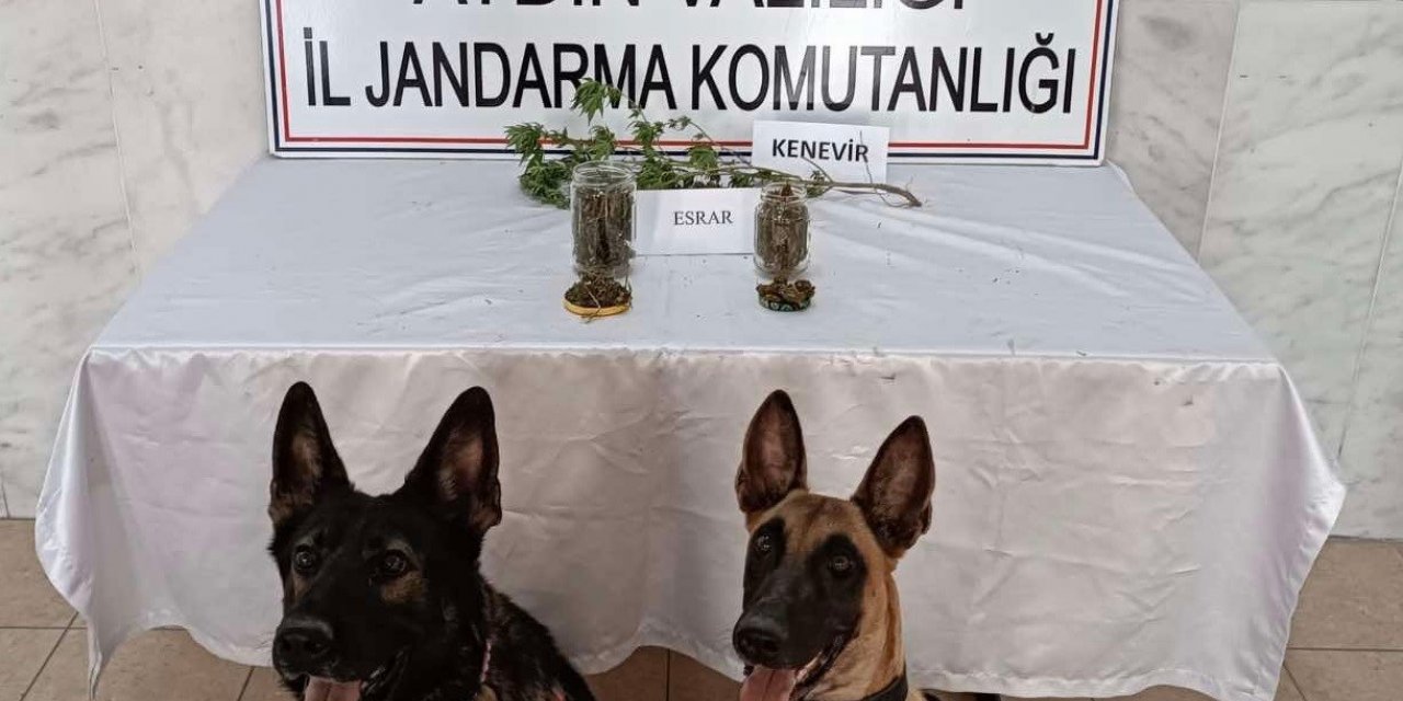 Kuyucak’ta uyuşturucu operasyonu