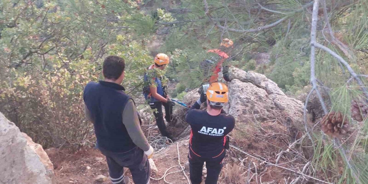 Dağlık alanda mahsur kalan keçiler kurtarıldı