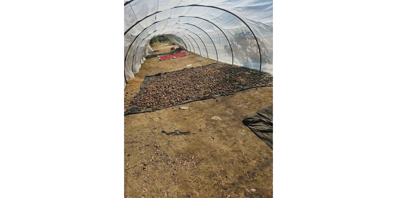 Motosikleti sazlığa sakladılar, suçüstü yakalandılar