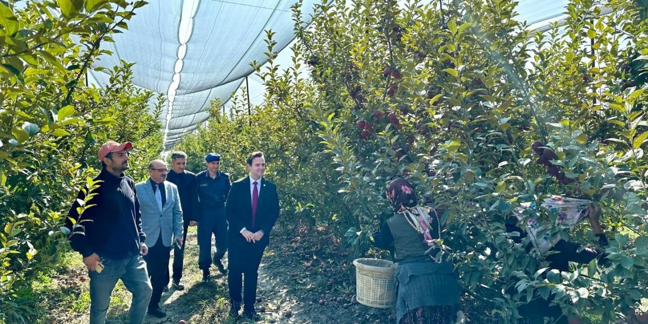 Kaymakam Nas hasada katıldı