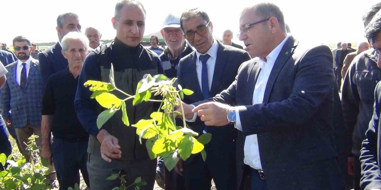 Kars’ta ilkkez ekilen soya fasulyesi hasadı yapıldı