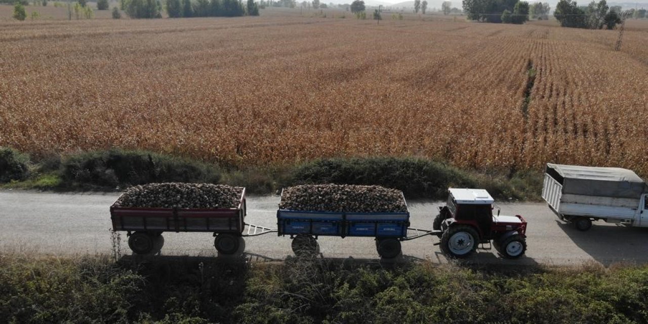 Pancar hasadı yapan çiftçilere jandarma denetimi