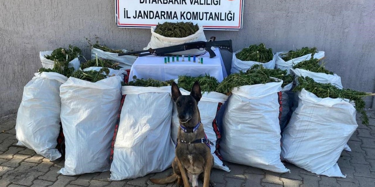 Diyarbakır’da bir adreste yapılan aramada 177 kilo esrar ele geçirildi