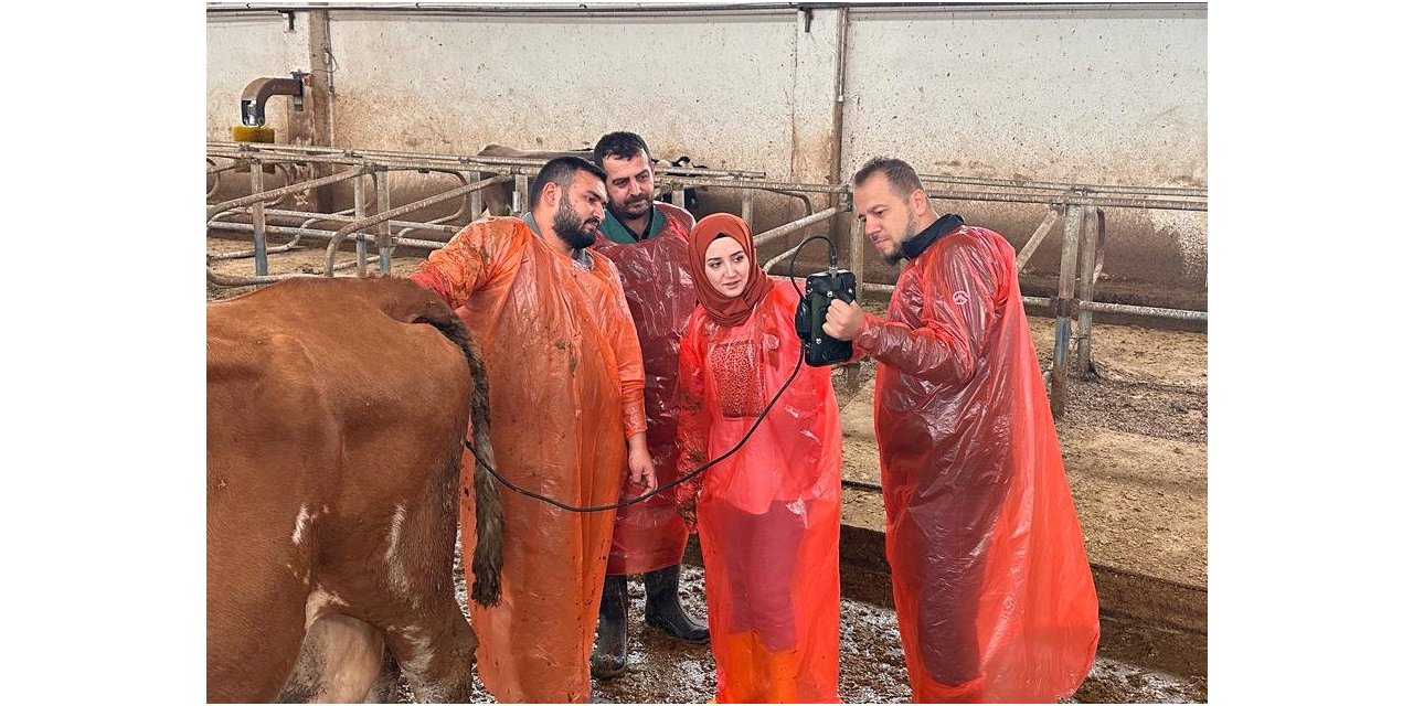 Van Büyükşehir Belediyesi veteriner hekimleri mezbahanelerde ultrasonla kontrol yapacak