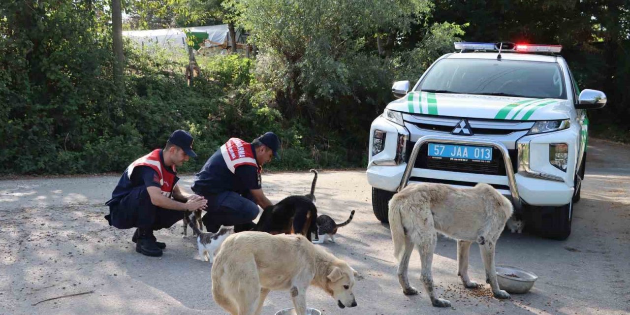 Jandarma can dostları unutmadı